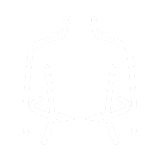 Torso